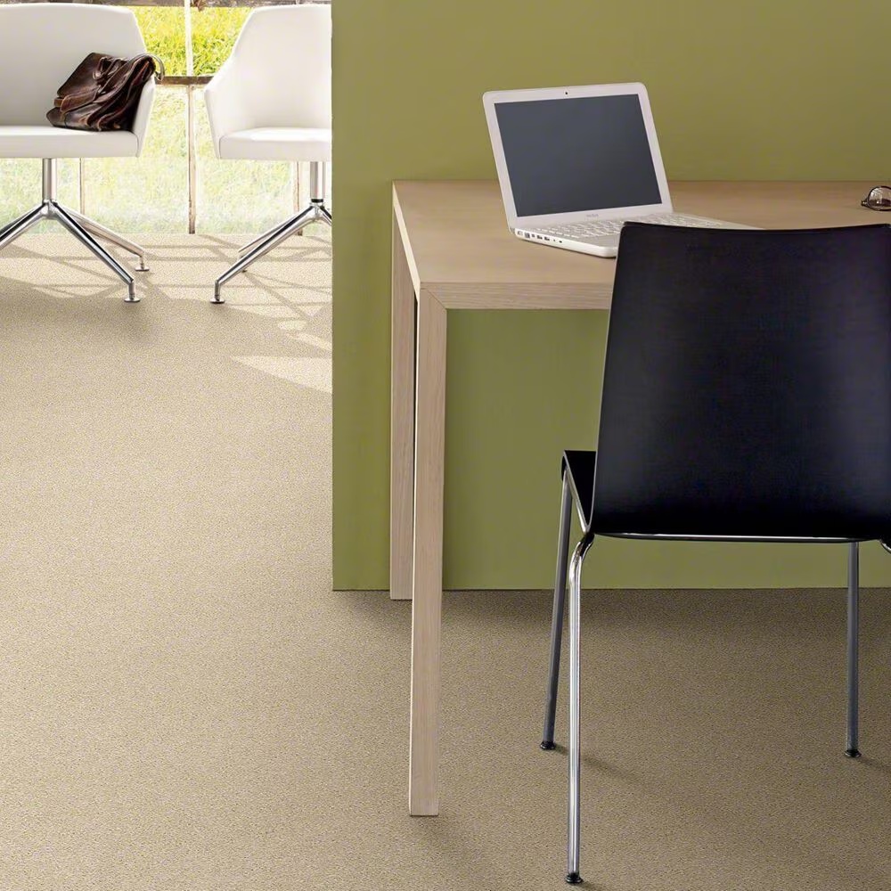20480-shaw-basic-rules-carpet-in-eggshell-1.jpg