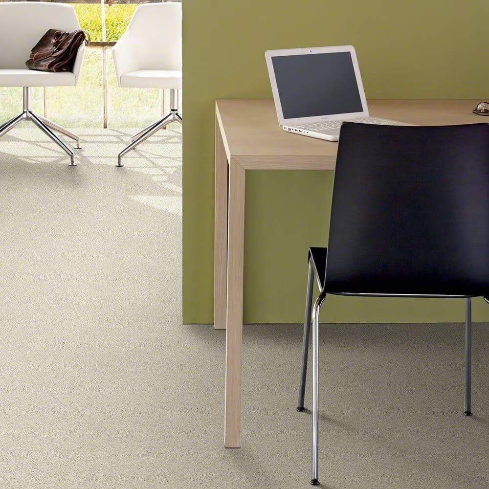 20481-shaw-basic-rules-carpet-in-creamery-1.jpg