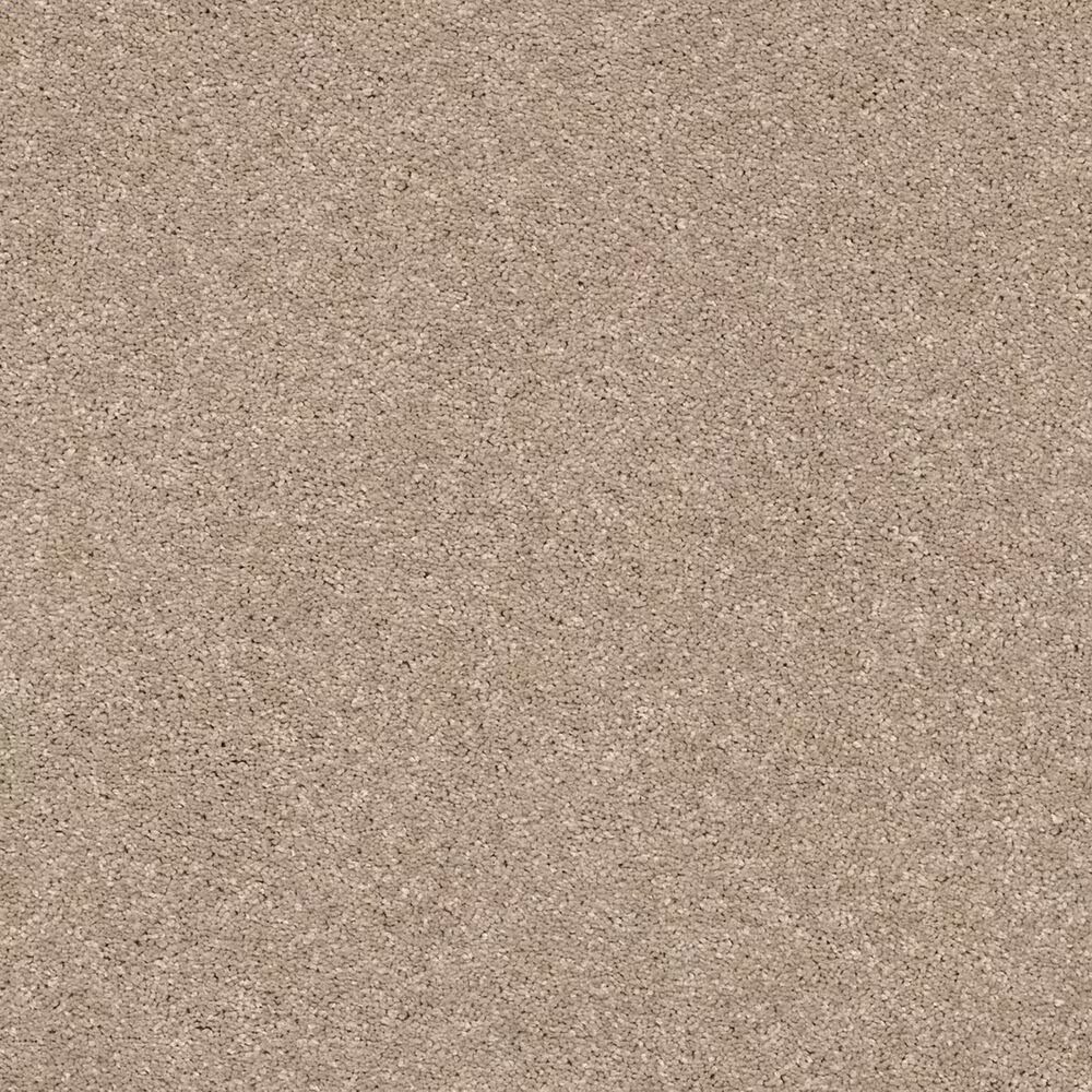 Shaw Basic Rules Carpet in Toast