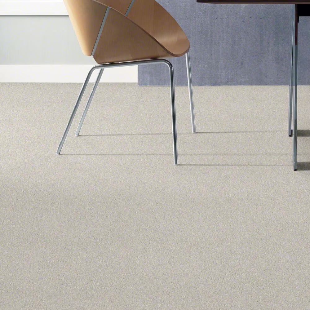 20484-shaw-basic-rules-carpet-in-dew-1.jpg