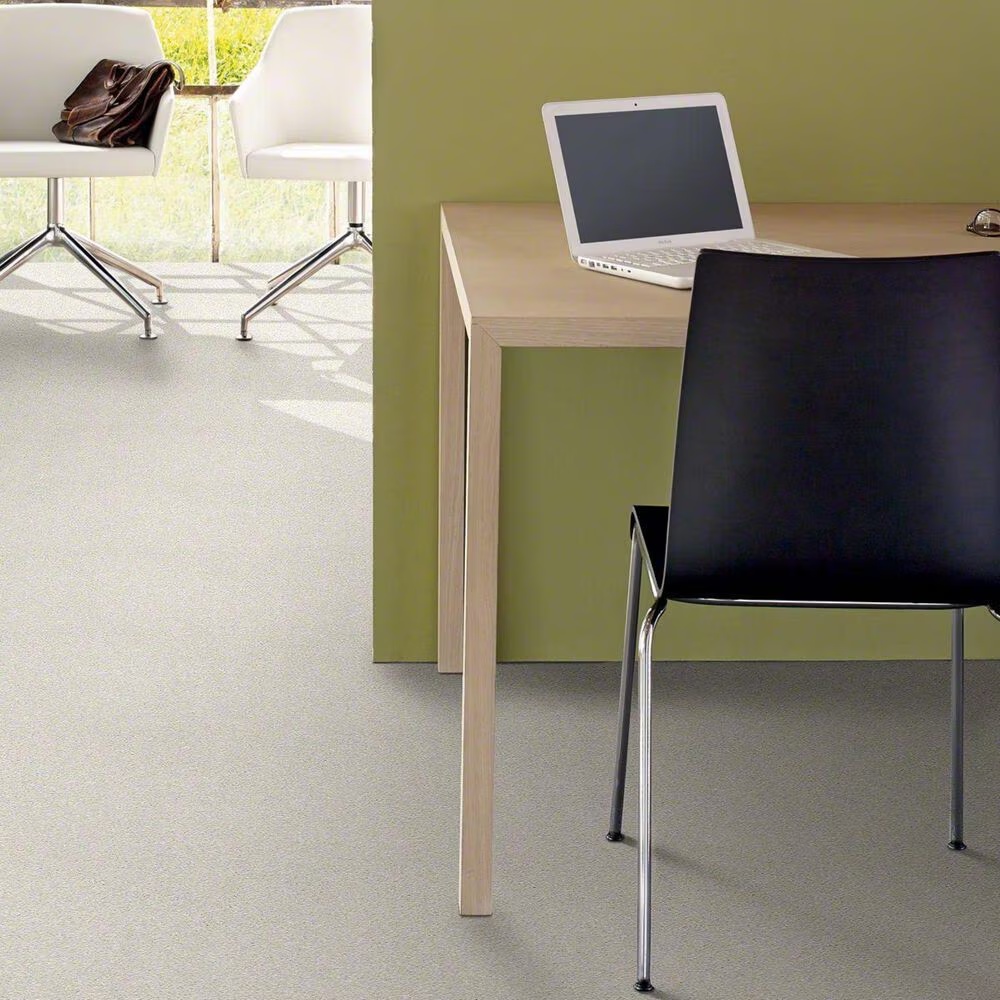 20484-shaw-basic-rules-carpet-in-dew-1.jpg