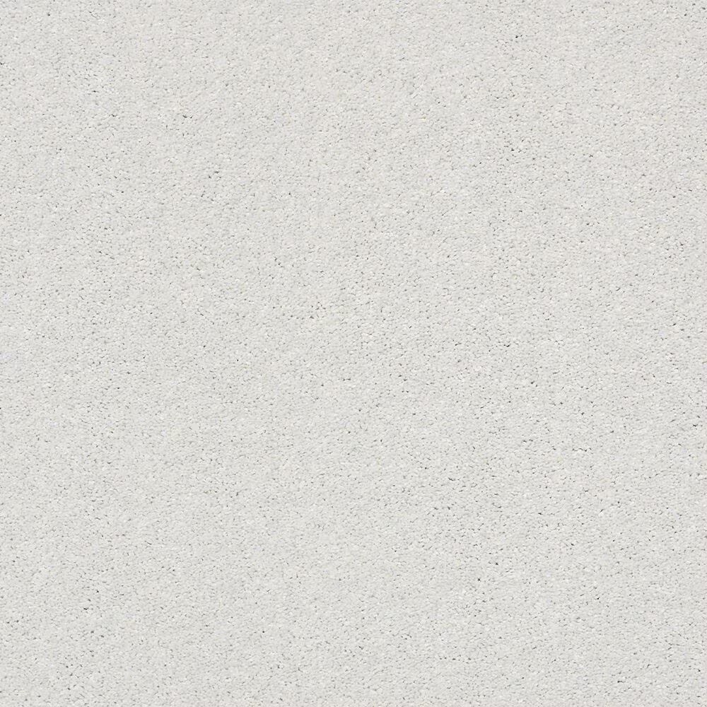 Shaw Basic Rules Carpet in Mist