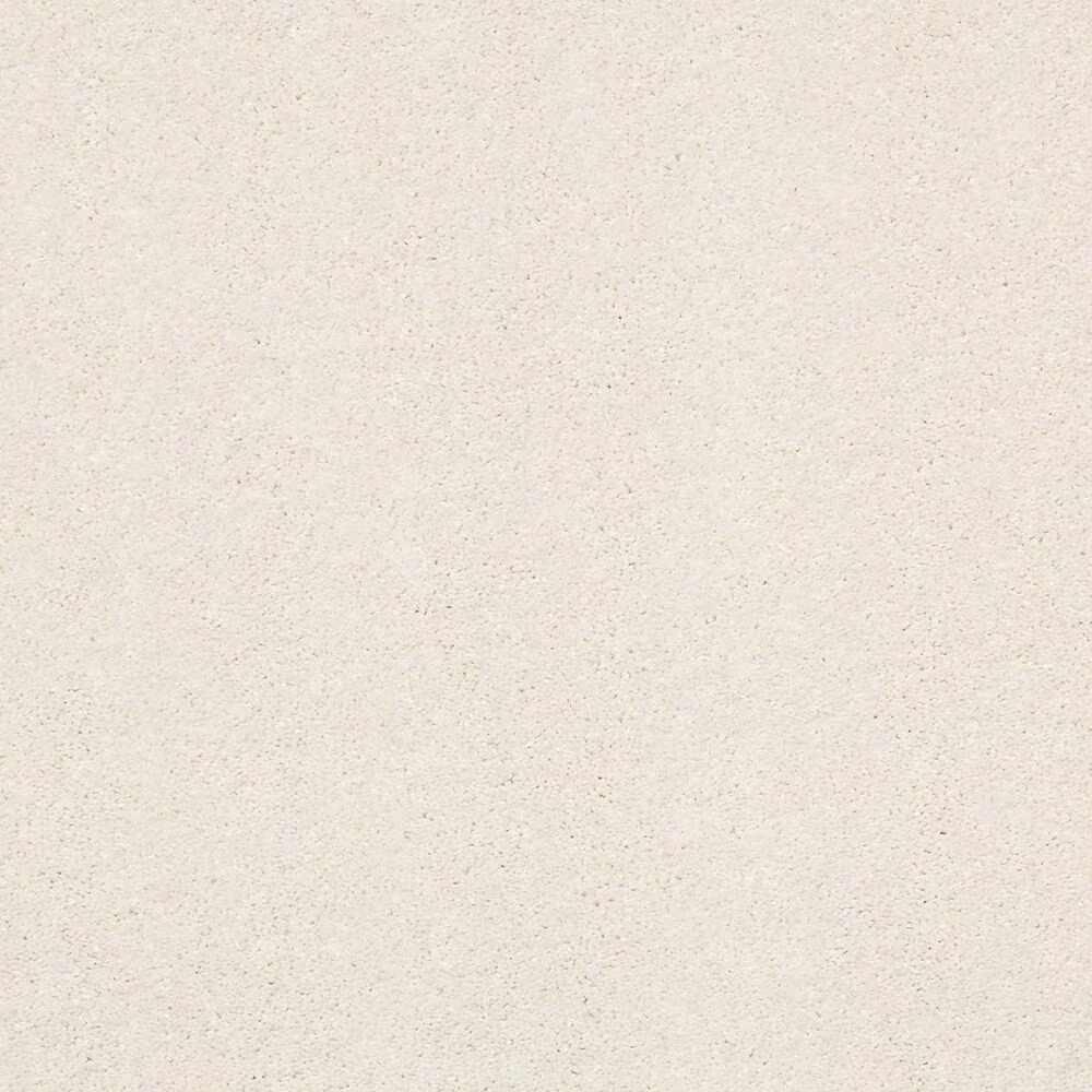 Shaw Basic Rules Carpet in Oatmeal
