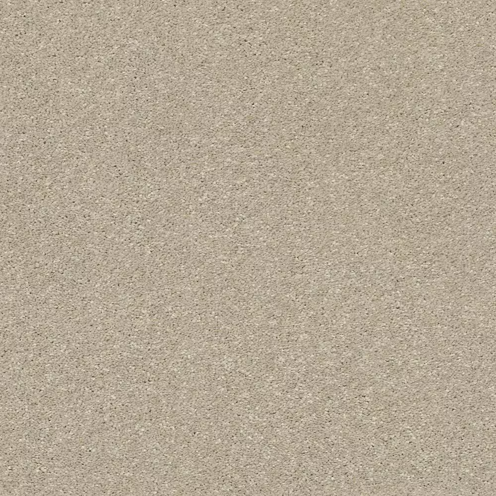 Shaw Basic Rules Carpet in Vicuna