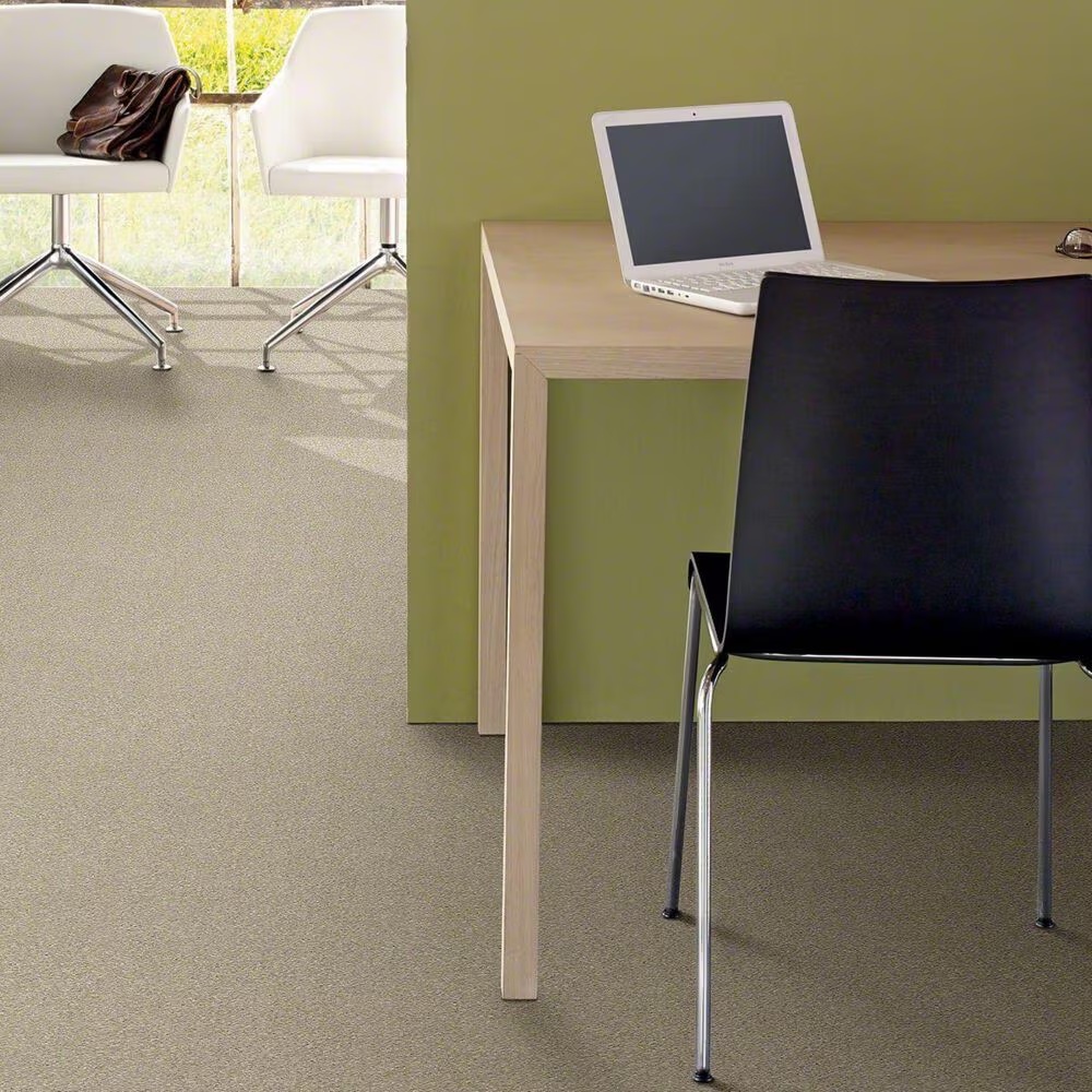 20488-shaw-basic-rules-carpet-in-vicuna-1.jpg
