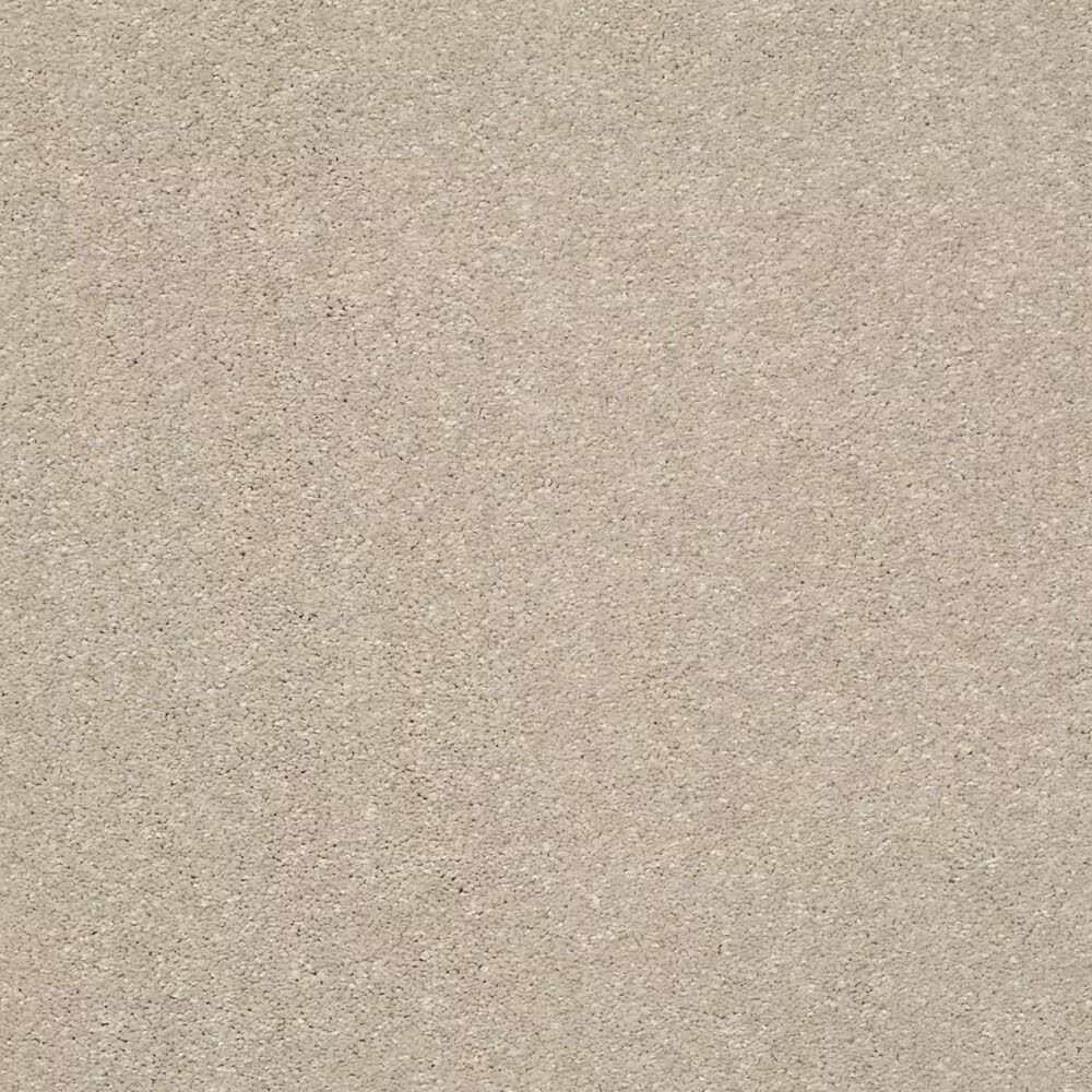 Shaw Basic Rules Carpet in Arctic Fox