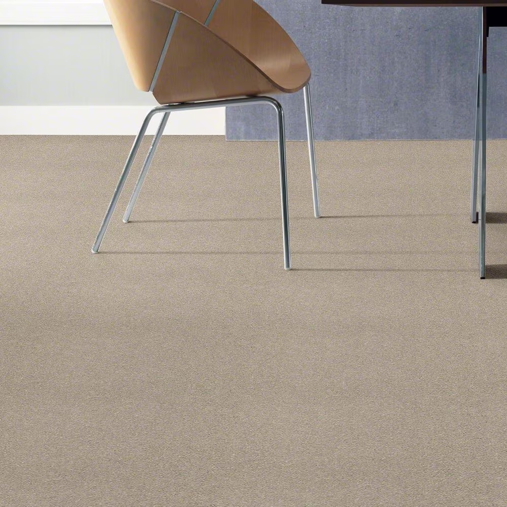 20489-shaw-basic-rules-carpet-in-arctic-fox-1.jpg