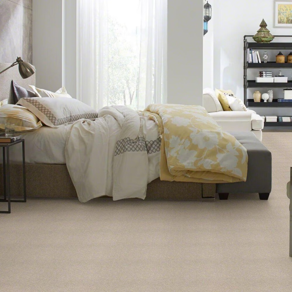 20489-shaw-basic-rules-carpet-in-arctic-fox-1.jpg