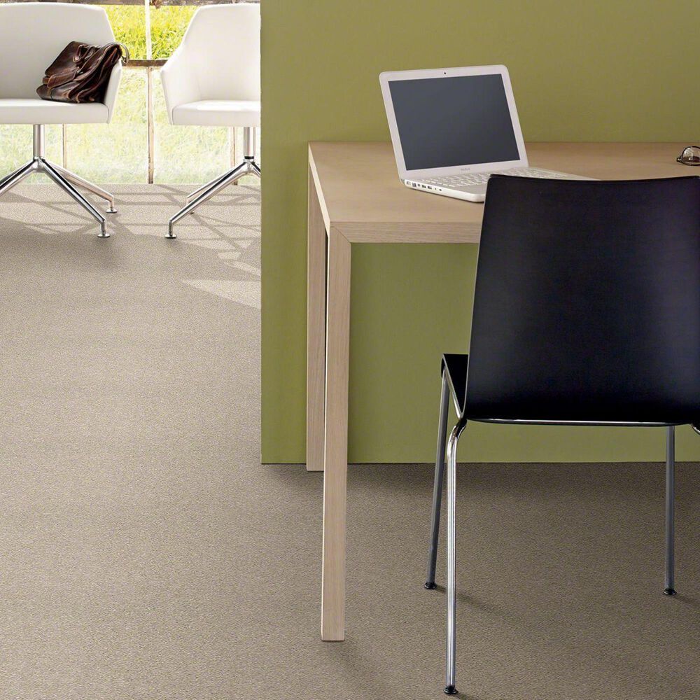 20489-shaw-basic-rules-carpet-in-arctic-fox-1.jpg