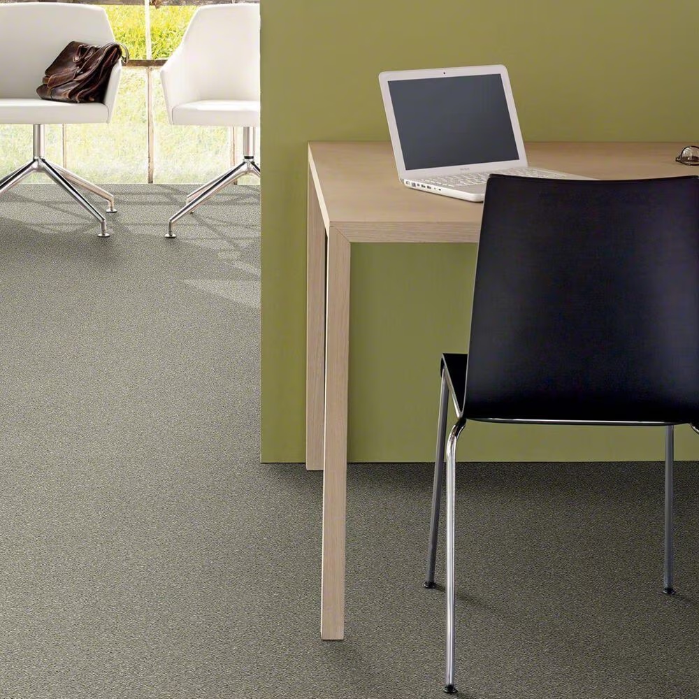 20493-shaw-basic-rules-carpet-in-flax-1.jpg
