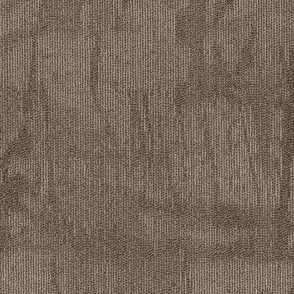 Shaw Chiseled 24" x 24" Carpet Tile in Compose