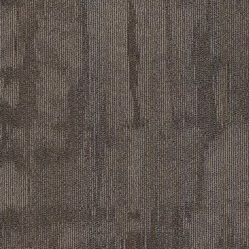 Shaw Chiseled 24" x 24" Carpet Tile in Construct