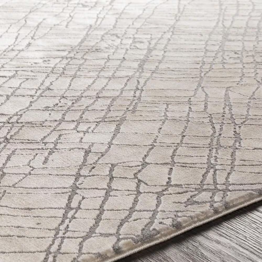21377-surya-tibetan-tbt-2314-7-10-x-10-3-gray-cream-and-taupe-area-rug-1.jpg