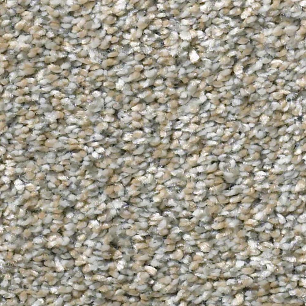 Shaw All Over It I Carpet in Misty Harbor