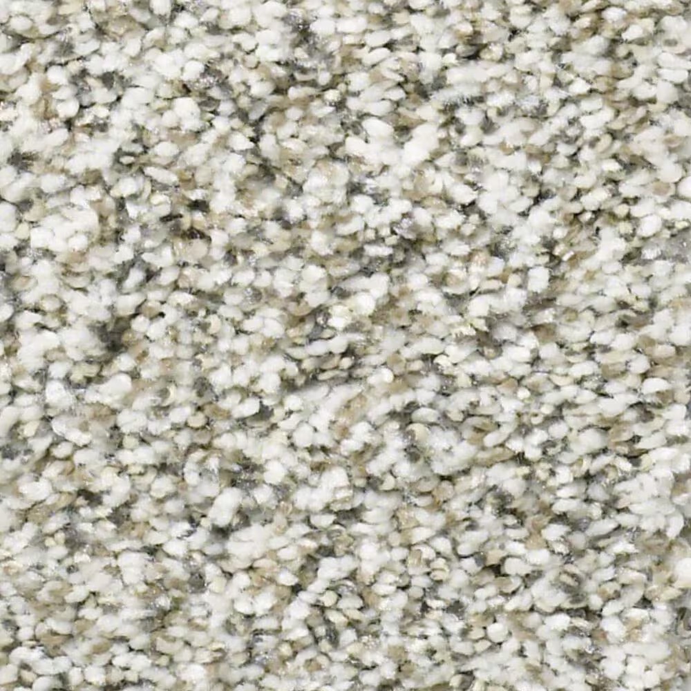 Shaw All Set I Carpet in Quartz
