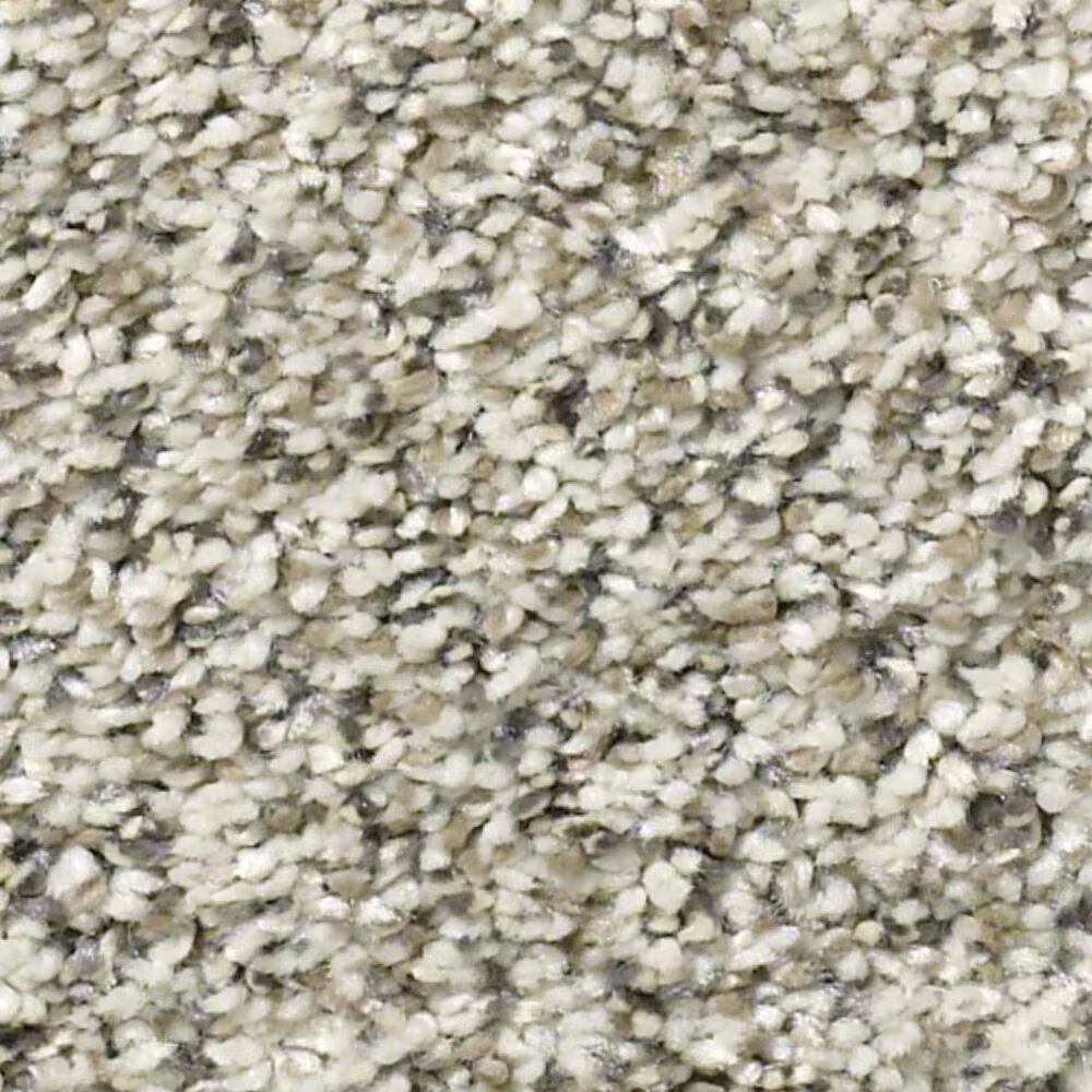 Shaw All Set I Carpet in Atlantic Sand