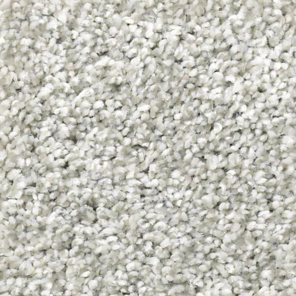 Shaw All Over It II Carpet in Dove