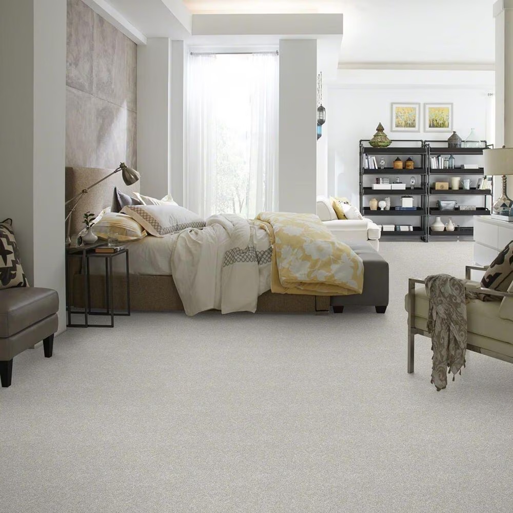 28010-shaw-all-over-it-ii-carpet-in-dove-1.jpg