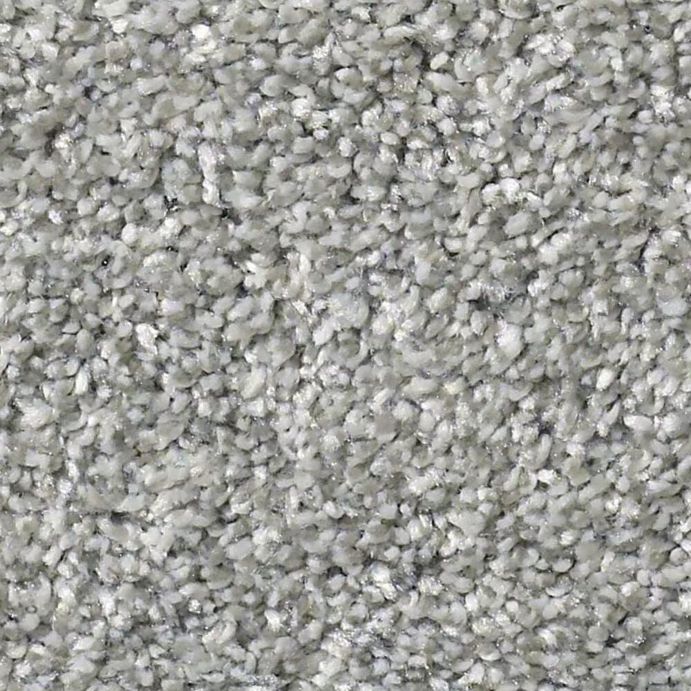 Shaw All Over It II Carpet in Stone Path