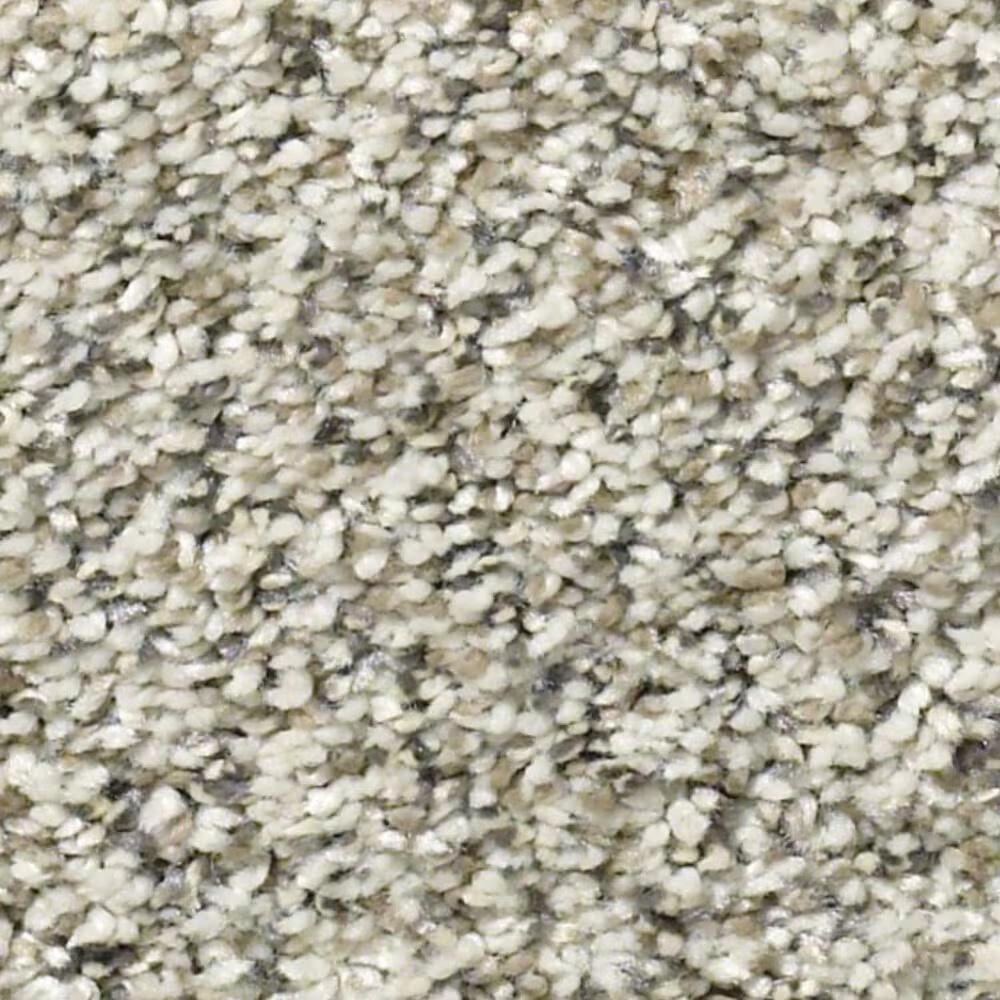 Shaw All Set II Carpet in Atlantic Sand