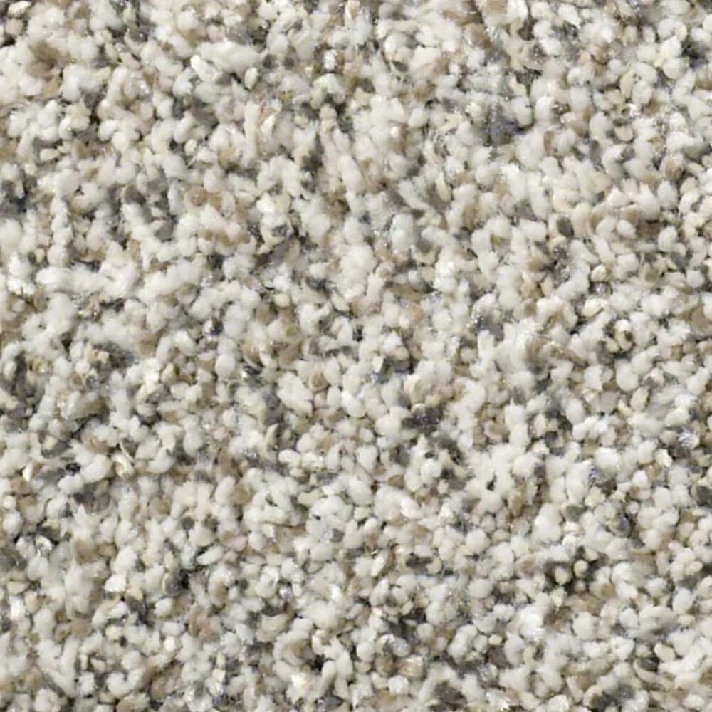 Shaw All Set II Carpet in Smoky Gray
