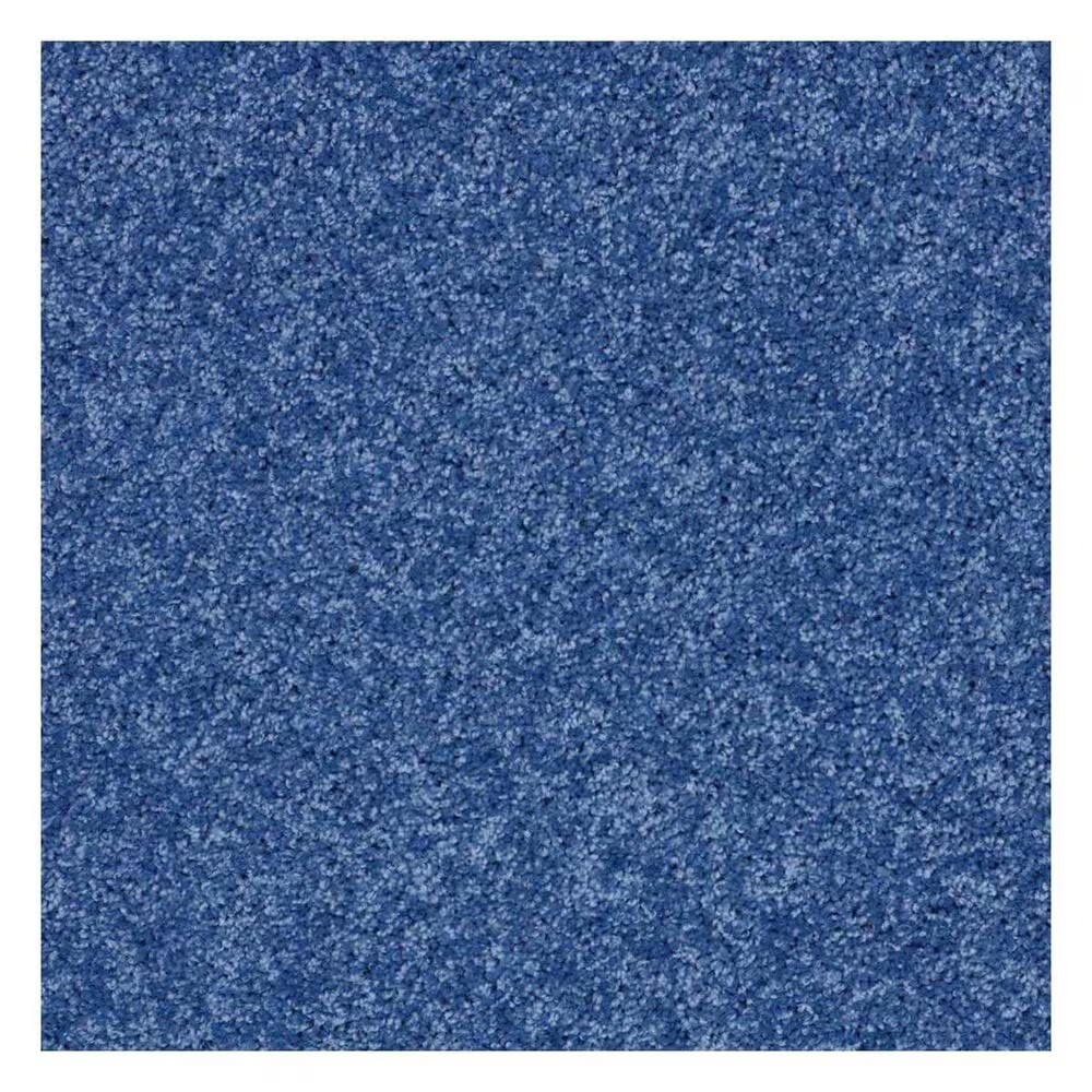 Shaw Kids Rule Carpet in Cobalt Blue