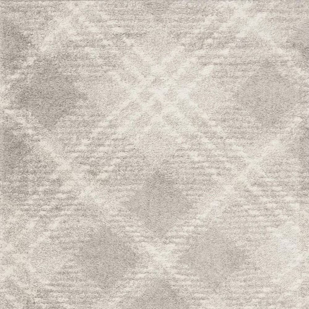 31425-safavieh-adirondack-adr129b-6-x-9-light-grey-and-ivory-area-rug-1.jpg