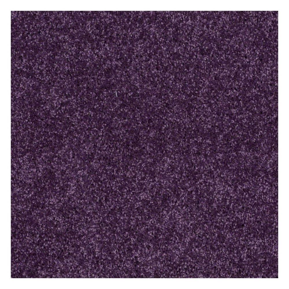 Shaw Kids Rule Carpet in Grape Jelly