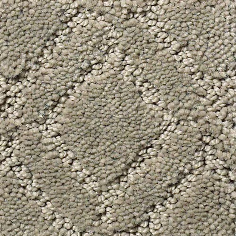 Anderson Tuftex Renoir Carpet in Intrigue
