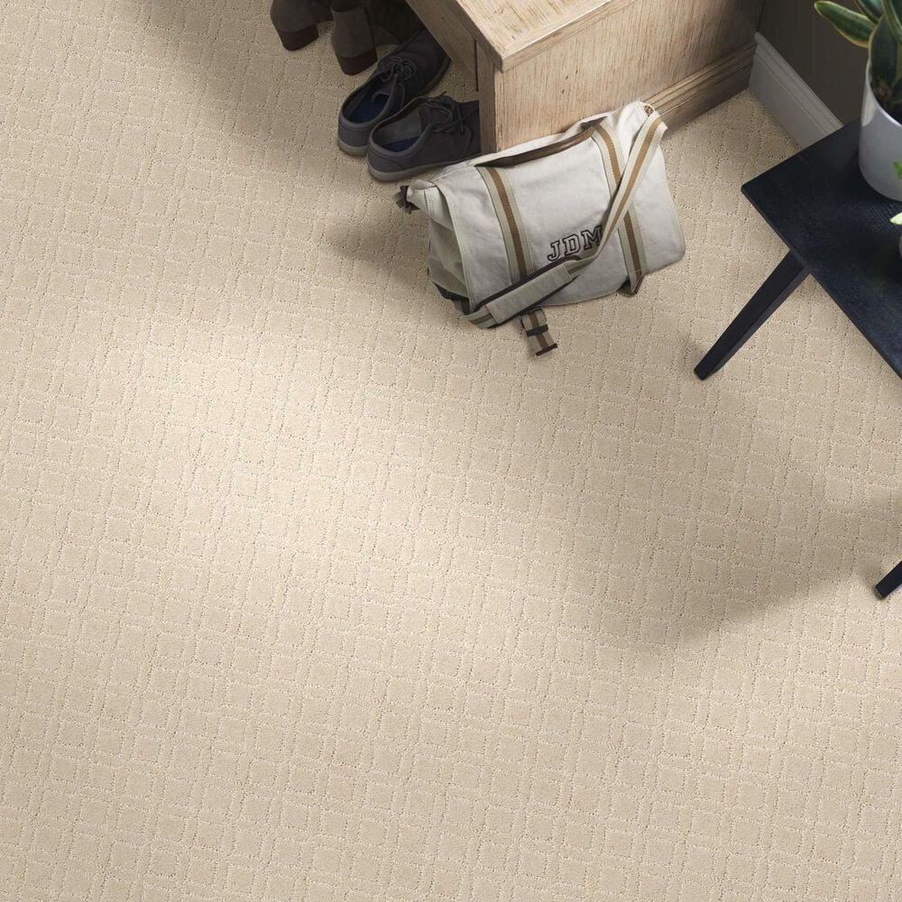 33744-anderson-tuftex-renoir-carpet-in-morning-light-1.jpg