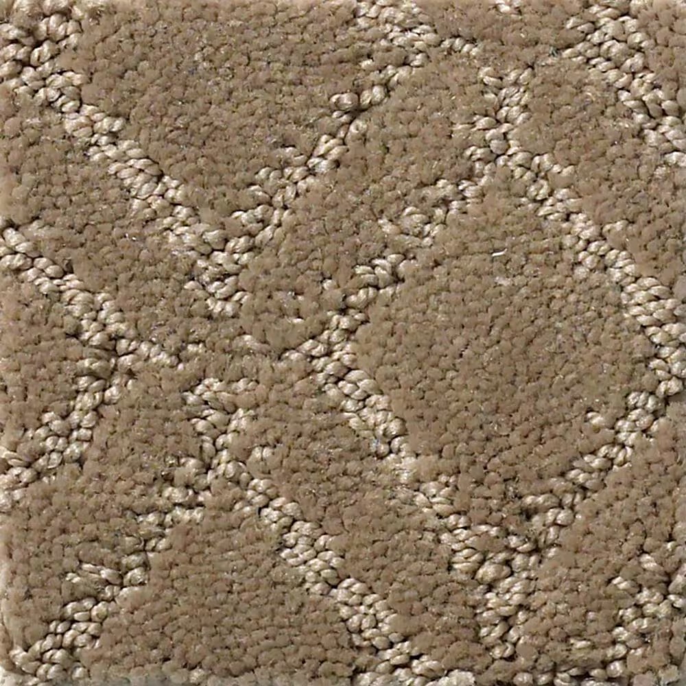 Anderson Tuftex Renoir Carpet in Rockport