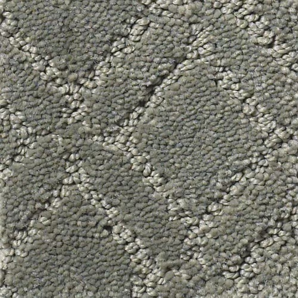Anderson Tuftex Renoir Carpet in Wonder