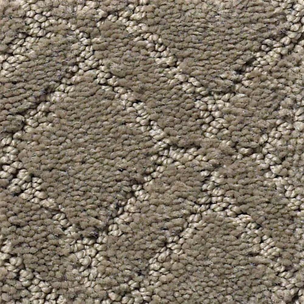 Anderson Tuftex Renoir Carpet in Herbal