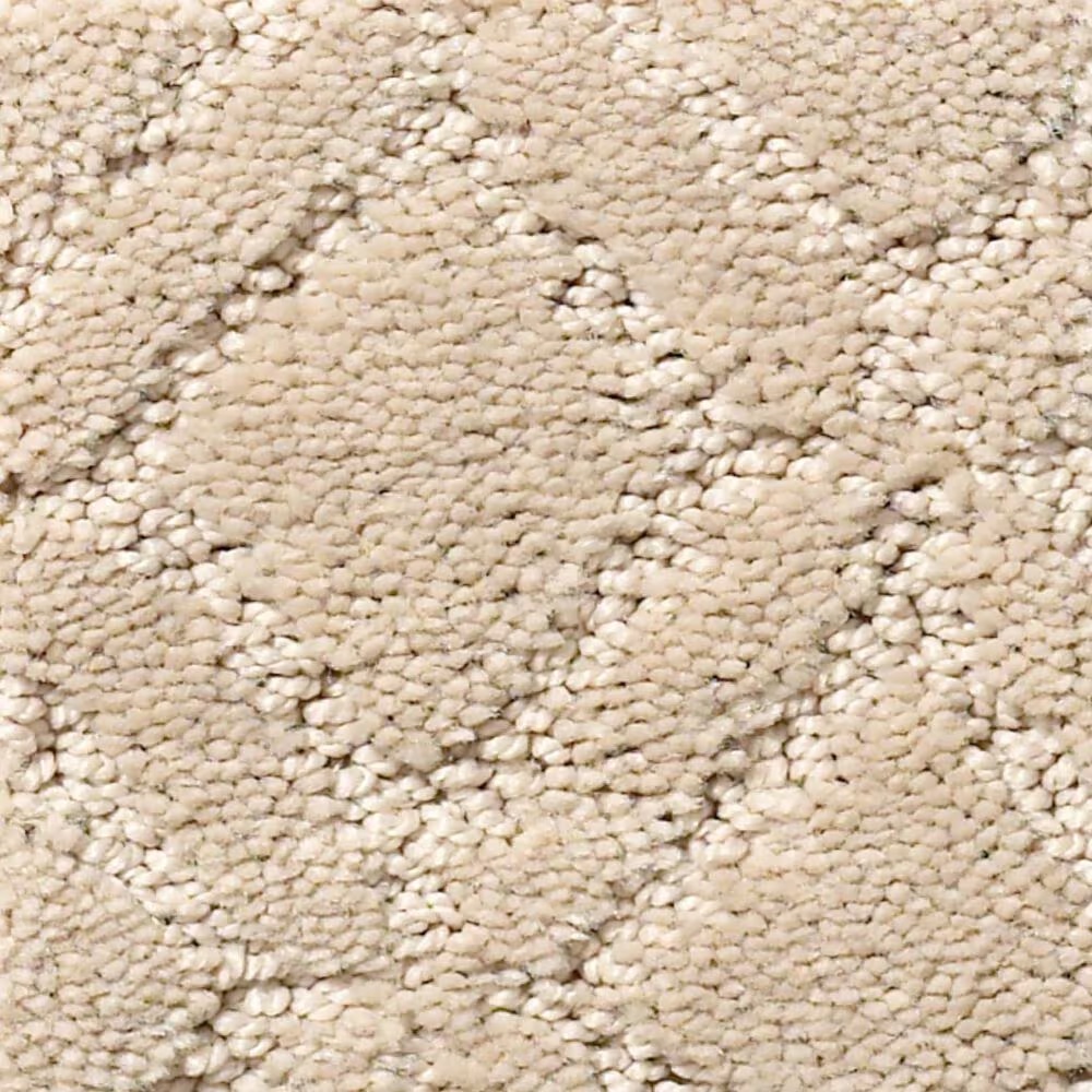 Anderson Tuftex Renoir Carpet in Oak Ridge