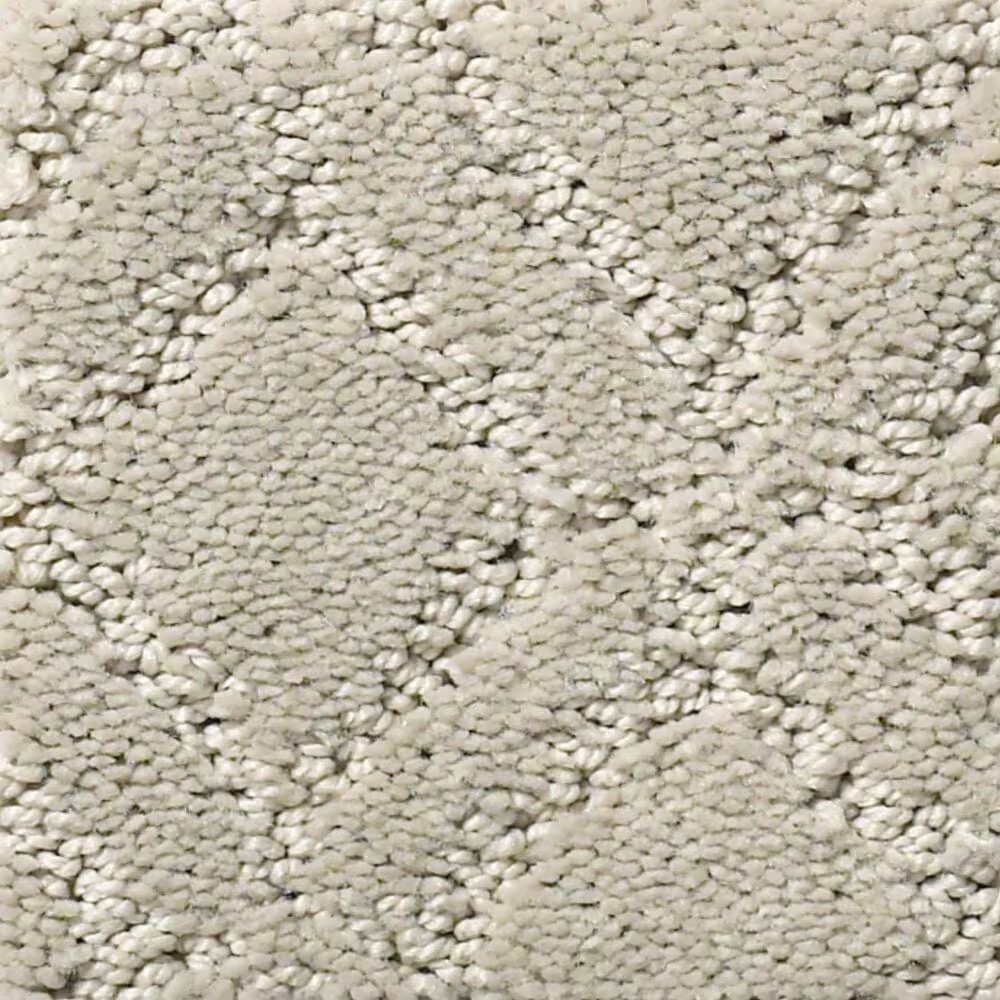 Anderson Tuftex Renoir Carpet in Half Moon