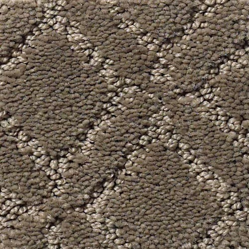 Anderson Tuftex Renoir Carpet in Dash