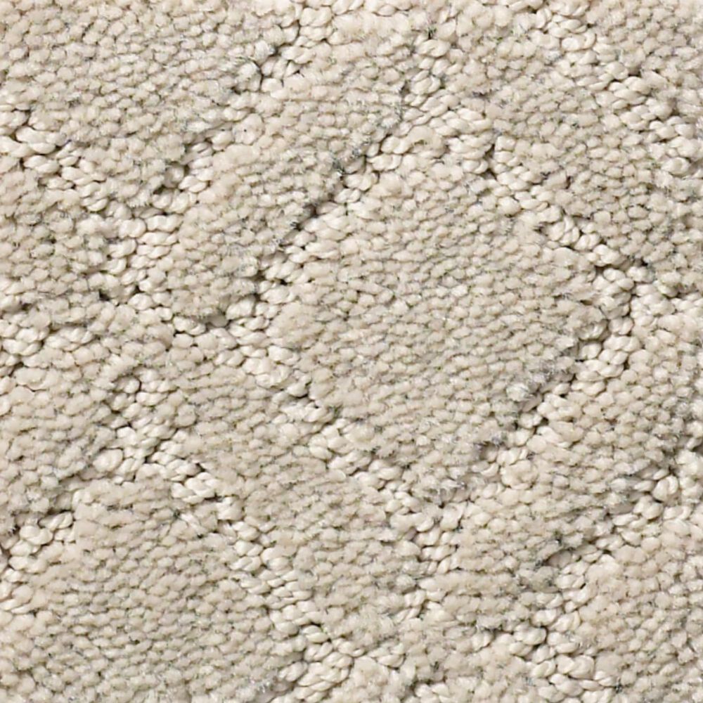 Anderson Tuftex Renoir Carpet in Inner Balance