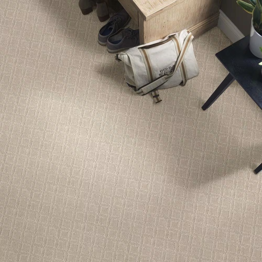 33759-anderson-tuftex-renoir-carpet-in-inner-balance-1.jpg