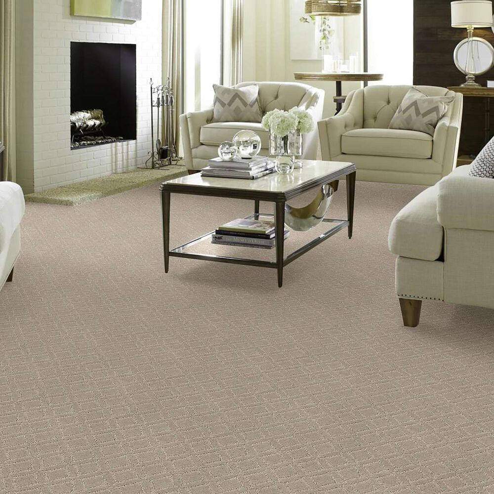33759-anderson-tuftex-renoir-carpet-in-inner-balance-1.jpg