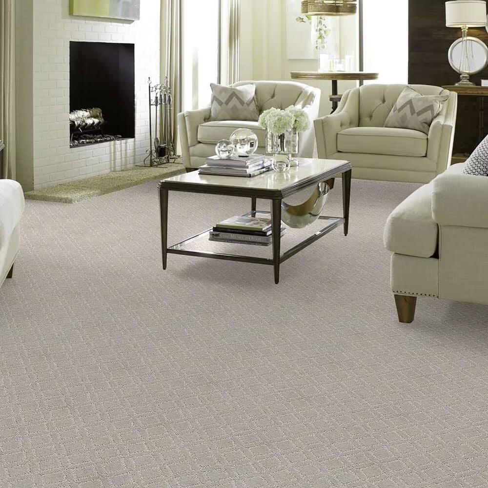 33760-anderson-tuftex-renoir-carpet-in-gentle-gray-1.jpg