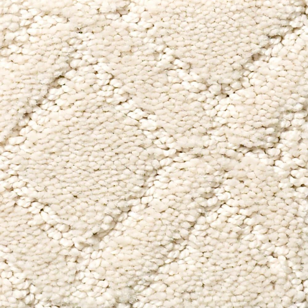 Anderson Tuftex Renoir Carpet in Salt Box