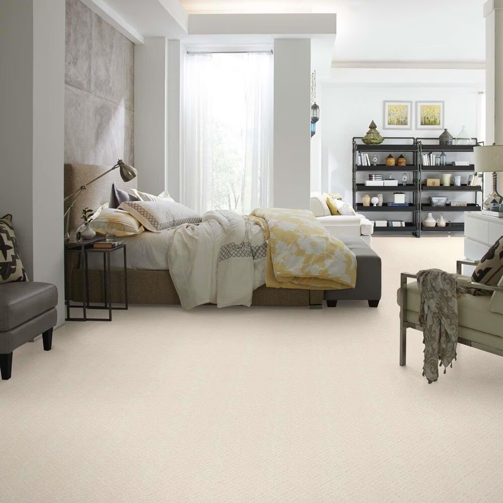 33762-anderson-tuftex-renoir-carpet-in-salt-box-1.jpg