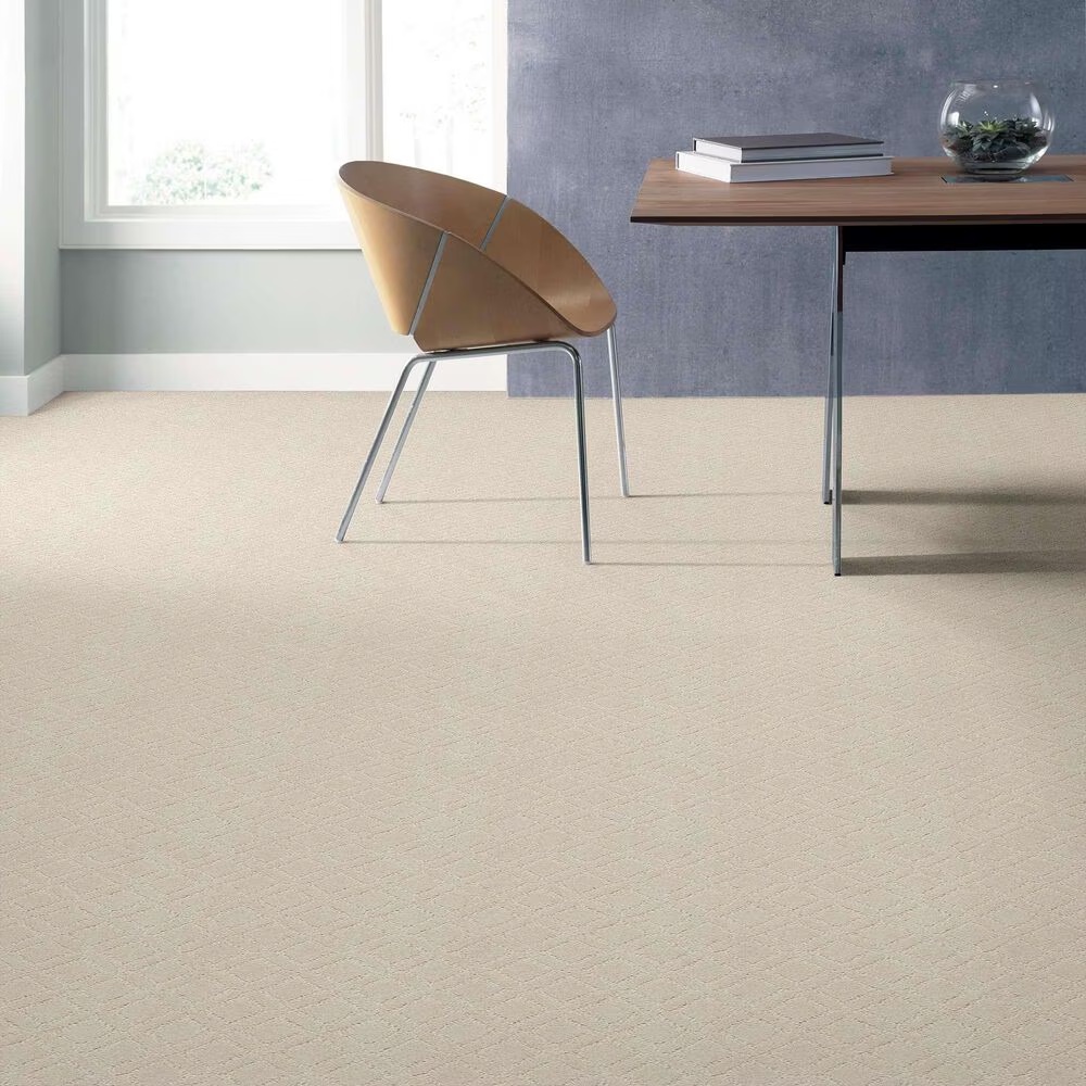 33762-anderson-tuftex-renoir-carpet-in-salt-box-1.jpg