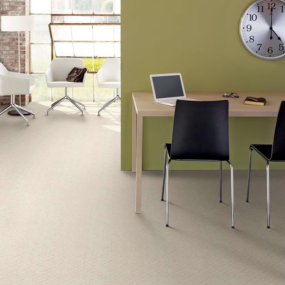 33762-anderson-tuftex-renoir-carpet-in-salt-box-1.jpg