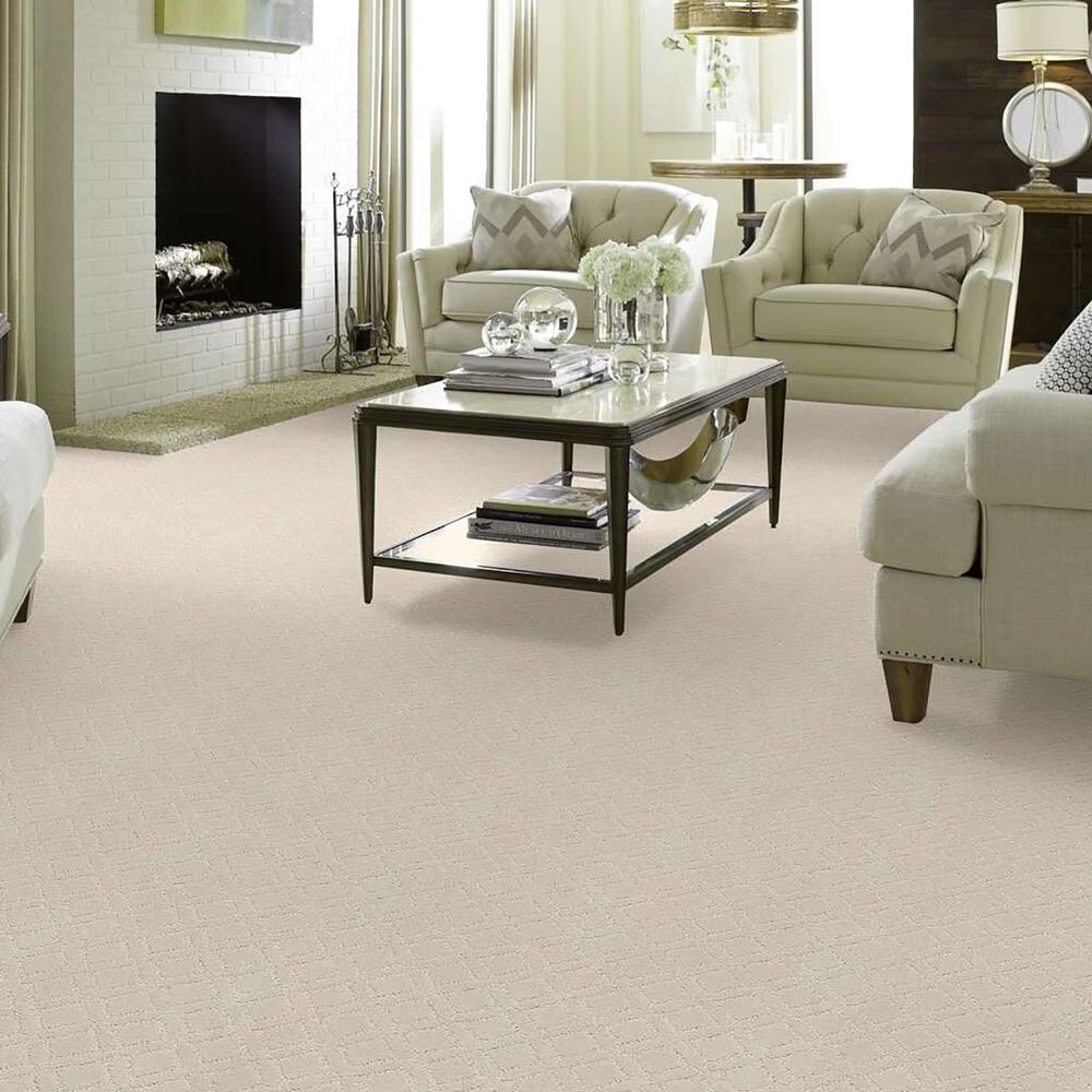33762-anderson-tuftex-renoir-carpet-in-salt-box-1.jpg