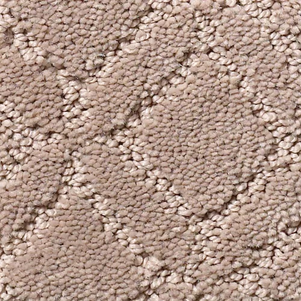 Anderson Tuftex Renoir Carpet in Socialite