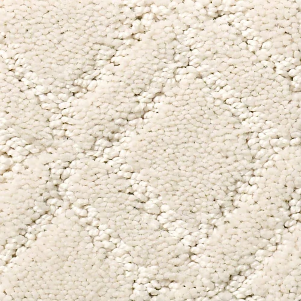 Anderson Tuftex Renoir Carpet in Minimal