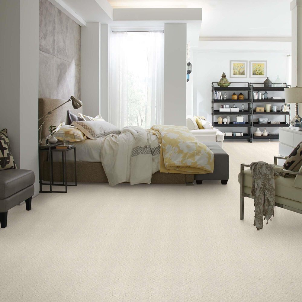 33764-anderson-tuftex-renoir-carpet-in-minimal-1.jpg