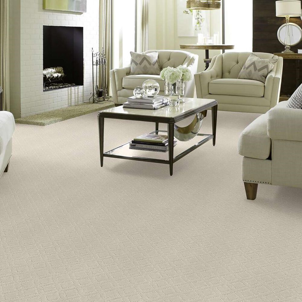 33764-anderson-tuftex-renoir-carpet-in-minimal-1.jpg