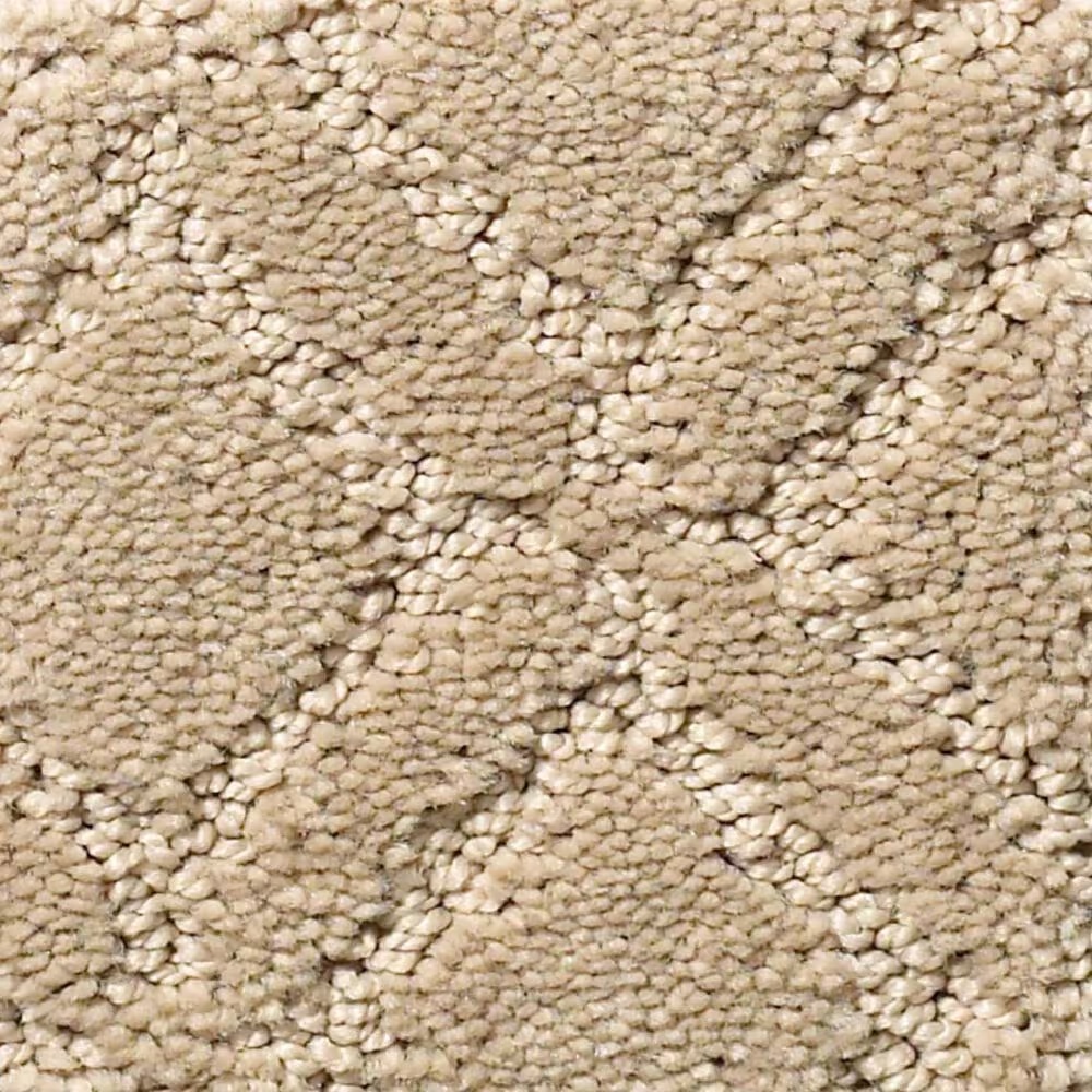 Anderson Tuftex Renoir Carpet in Coronado
